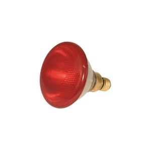 Lampes infrarouges économiques
